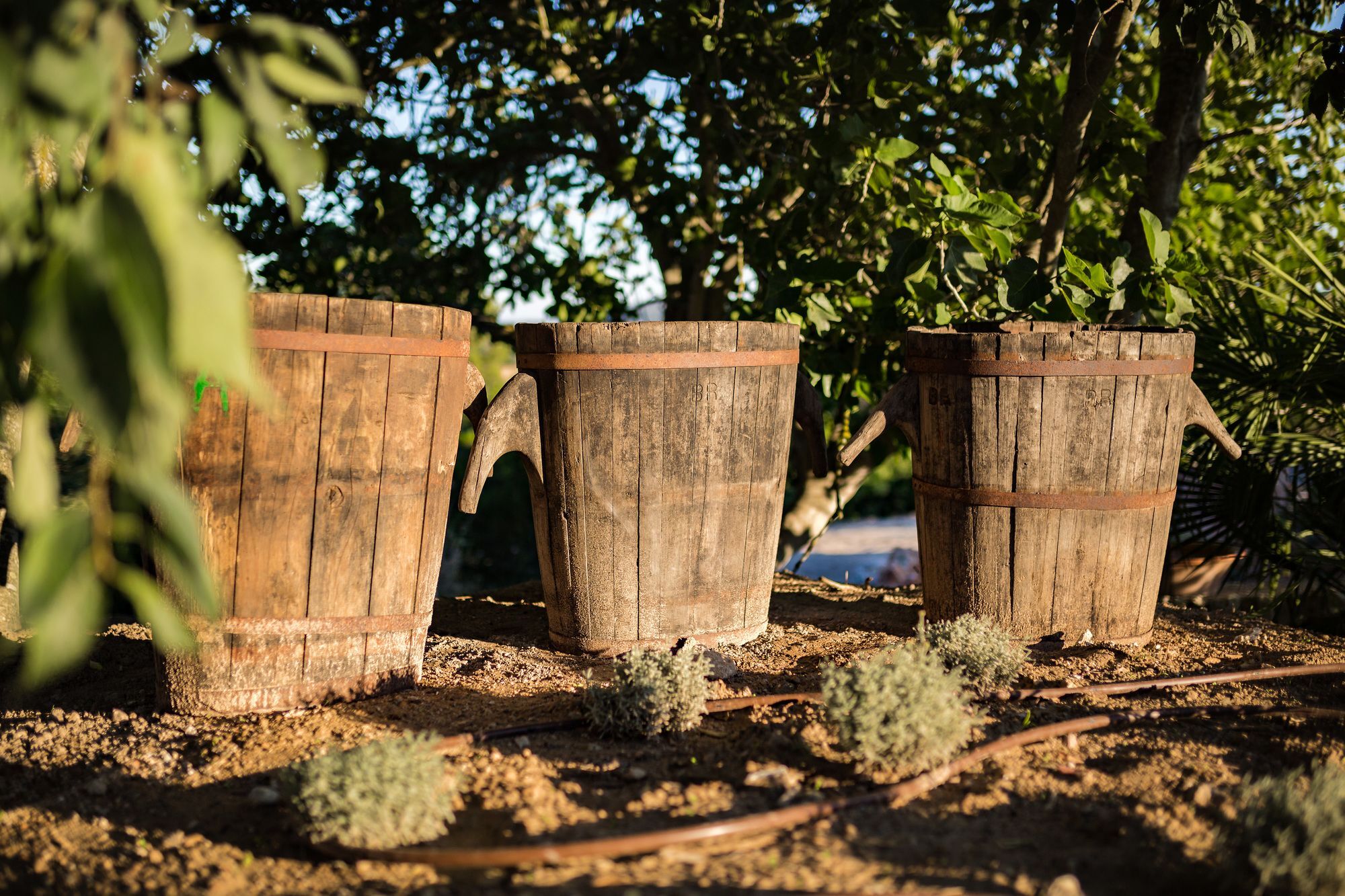Agroturismo Ses Vistes Porreras Exterior foto